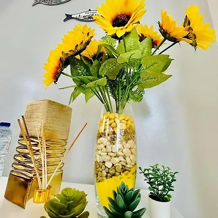 Plaza House Апартаменты Ильяву